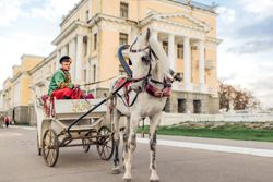 Изображение №3 компании Городской конный центр