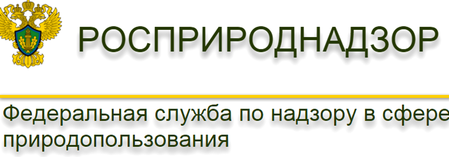 Изображение №4 компании Криос