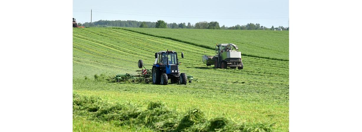 Изображение №2 компании НИИ пробиотиков на Варшавском шоссе