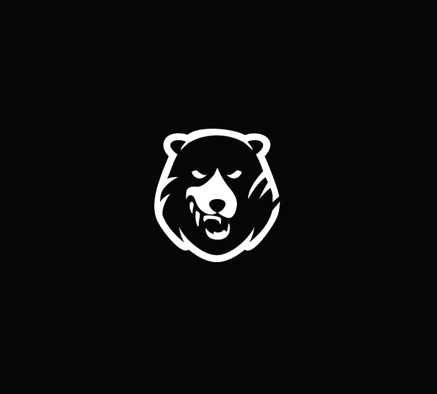 Изображение №1 компании Bearhunter