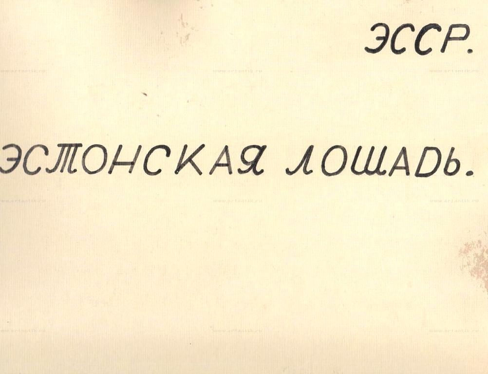 Изображение №6 компании Артантик