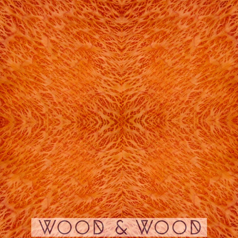 Изображение №14 компании Wood&wood