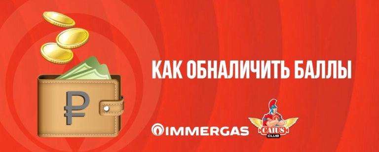 Изображение №12 компании Immergas