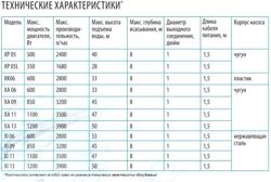 Изображение №3 компании Belamos.pro