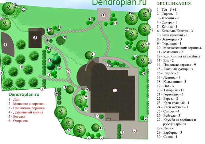 Изображение №7 компании Дендроплан.ру