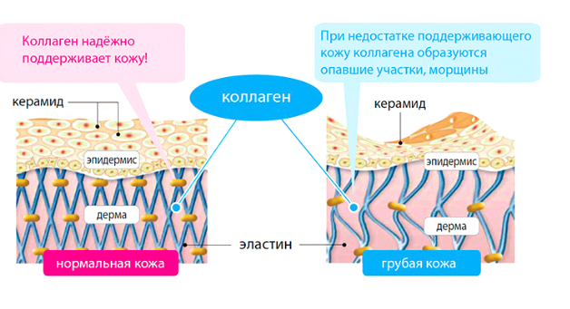 Изображение №19 компании Роял косметикс