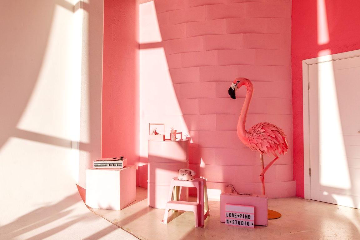 Изображение №11 компании Pink Photo