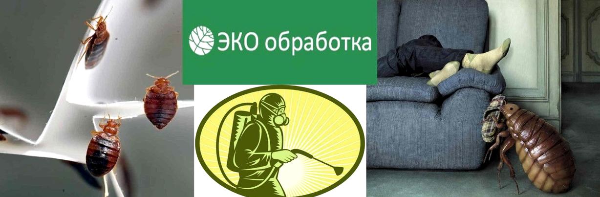 Изображение №5 компании Экообработка