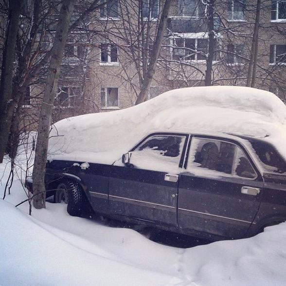 Изображение №9 компании Лесной городок