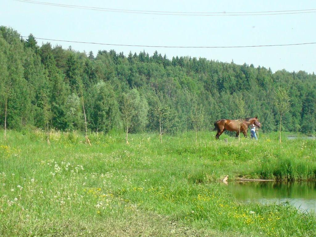 Московская область д