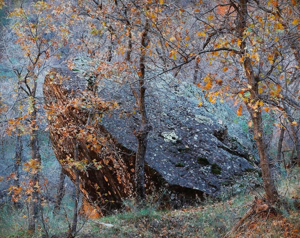 Изображение №7 компании Галерея классической фотографии