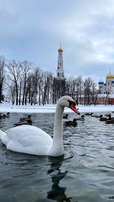 Изображение №3 компании Николо-Угрешский монастырь