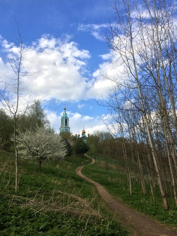 Изображение №11 компании Рождества Пресвятой Богородицы в Крылатском