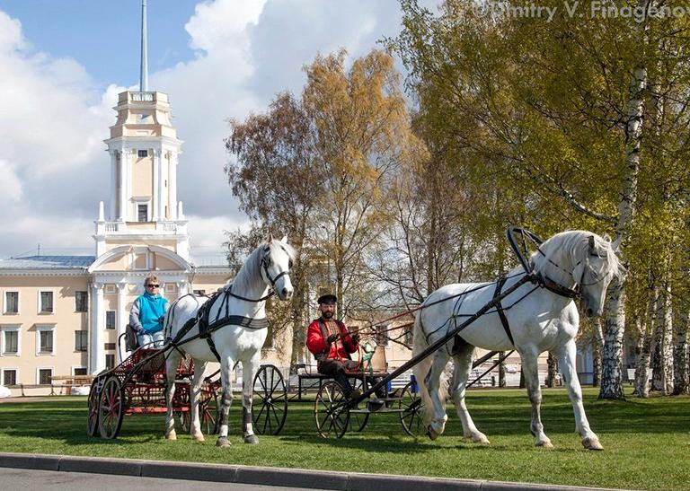 Изображение №4 компании Орловского рысака и Русской Тройки