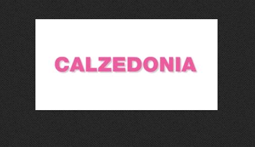 Изображение №4 компании Calzedonia