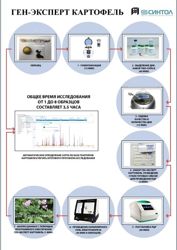 Изображение №4 компании Синтол