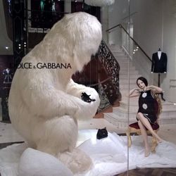 Изображение №2 компании Dolce&Gabbana