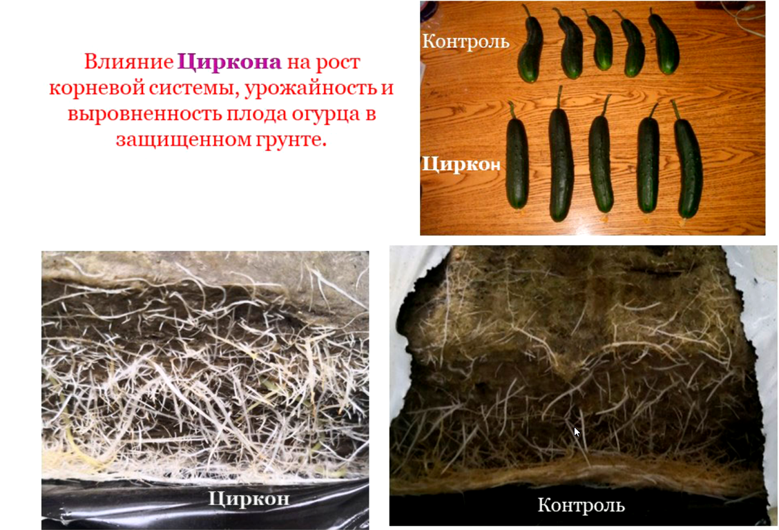 Изображение №1 компании Нэст м