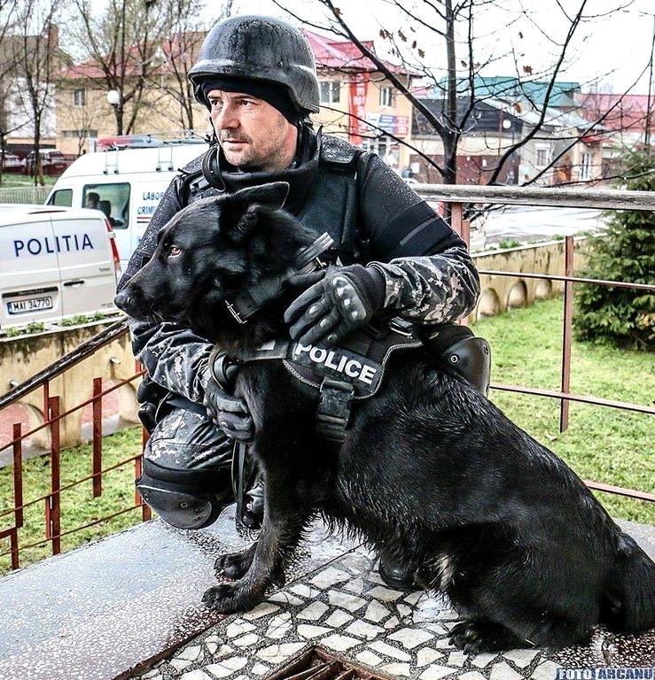 Изображение №6 компании K9DOG