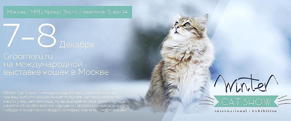 Изображение №12 компании Groomeru.ru