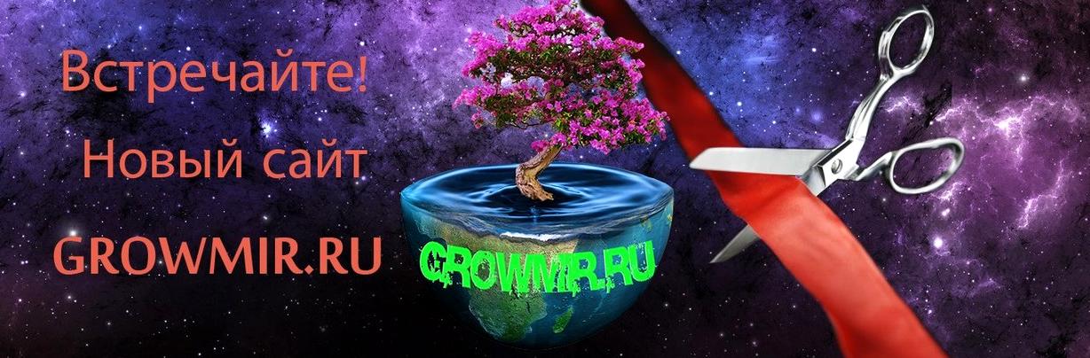 Изображение №8 компании Growmir