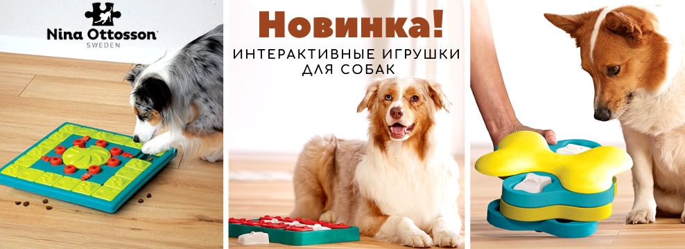 Изображение №8 компании Reddogshop.ru