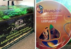 Изображение №3 компании Luxplants