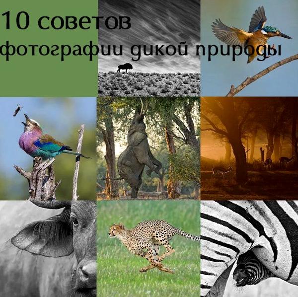 Изображение №10 компании Фотоскала