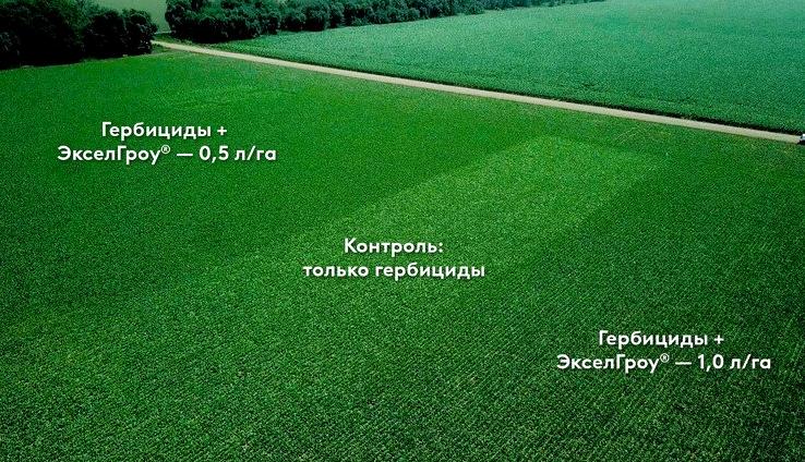 Изображение №8 компании Адама Рус