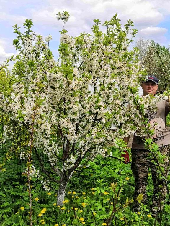 Изображение №4 компании Всё своё