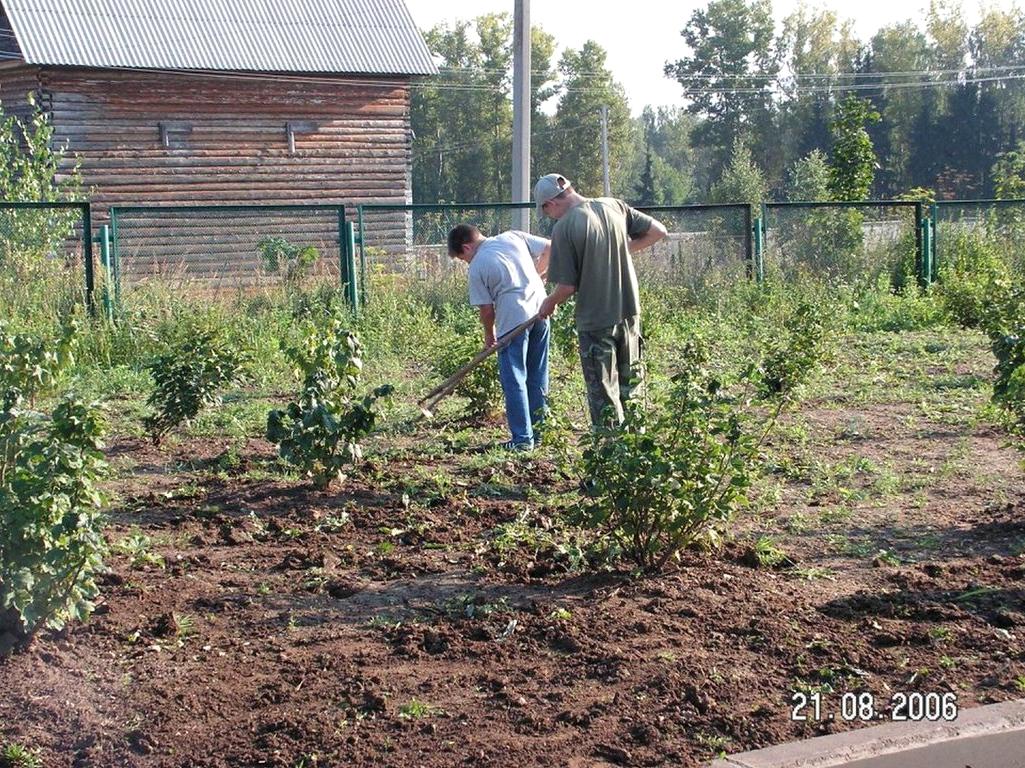 Изображение №4 компании Нестеровский лицей