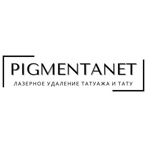 Изображение №1 компании PIGMENTANET