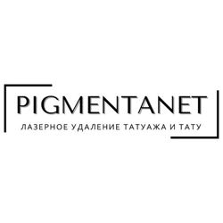 Изображение №1 компании PIGMENTANET