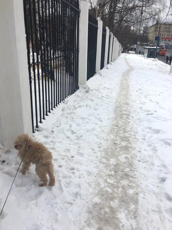 Изображение №2 компании Парк им. Воровского