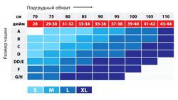 Изображение №2 компании Nuova Vita