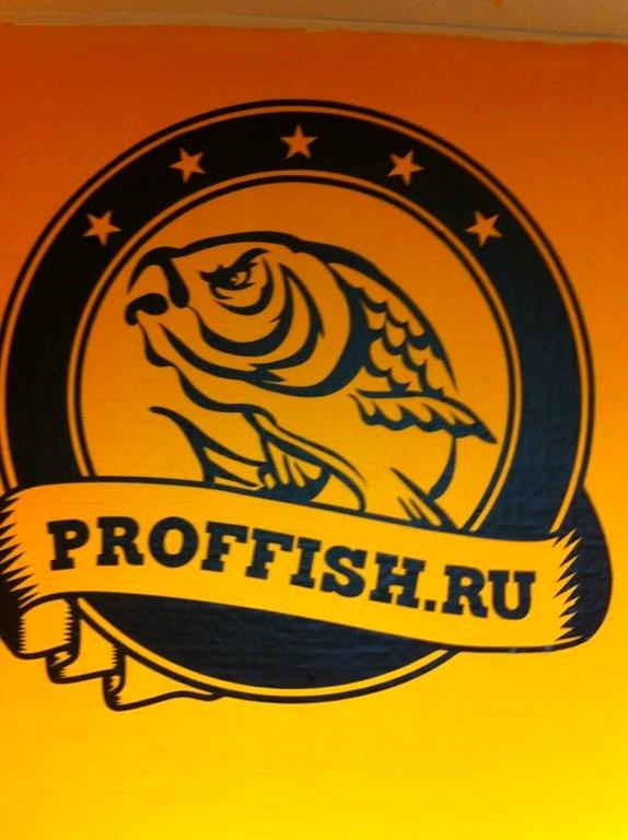 Изображение №9 компании Proffish