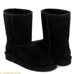 Изображение №4 компании UGG Australia