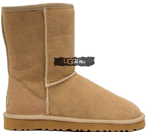 Изображение №18 компании Ugg-i.ru