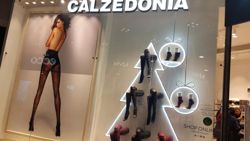 Изображение №1 компании Calzedonia