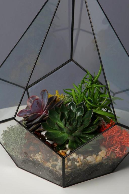 Изображение №10 компании Micro-garden.ru