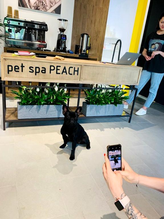 Изображение №4 компании Pet SPA peach