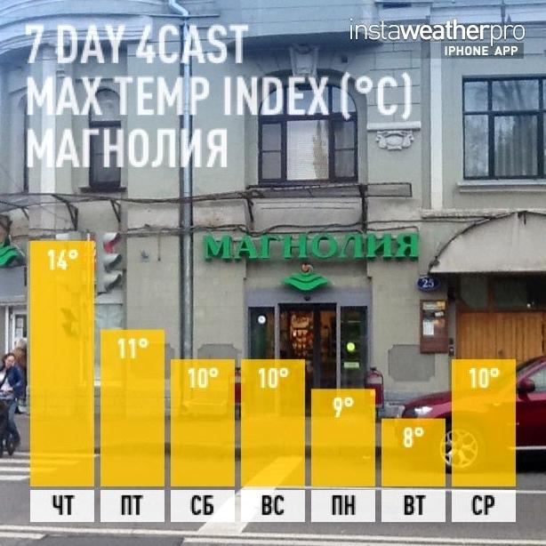 Изображение №14 компании Магнолия