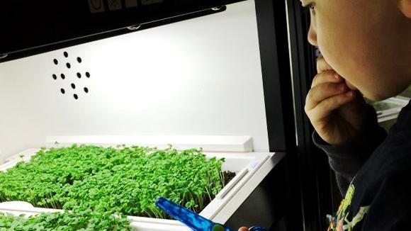 Изображение №17 компании Urban Cultivator