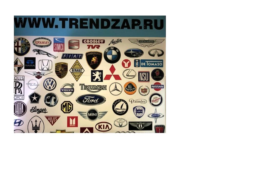 Изображение №3 компании Trendzap