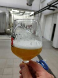 Изображение №2 компании Rewort Brewery