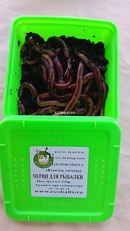 Изображение №2 компании Eco baits