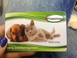 Изображение №3 компании Cats&Dogs