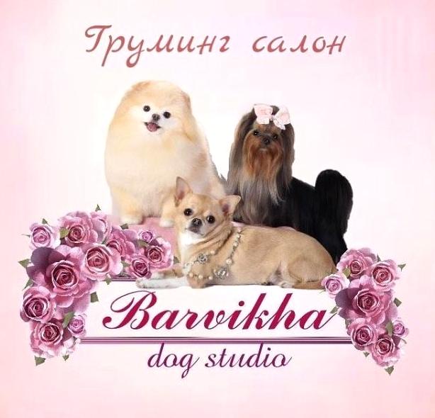 Изображение №6 компании Barvikha dog studio