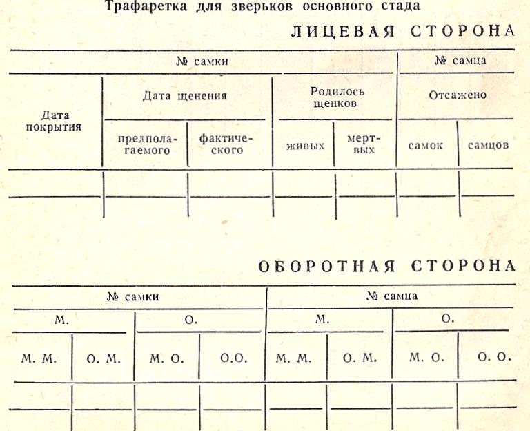 Изображение №17 компании Silverchins