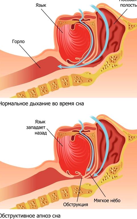 Изображение №1 компании Бриз медика